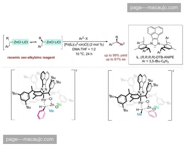 柔性组织架构适配动态赛程，保障体系资源周转率创近期新高